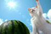 Try and be as AMERICAN as p... - last post by unce