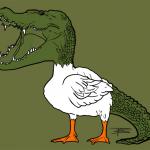 I am luke_gardner, AMA? - last post by CROCKODUCK