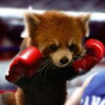 Modmode bugs - last post by kitcatbar
