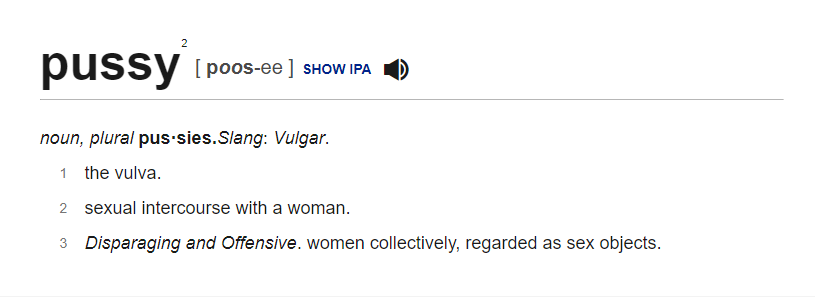 pussy definition.png